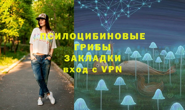 прущая мука Гвардейск
