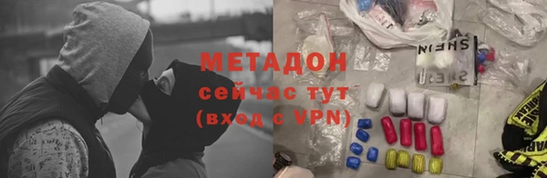 ГАЛЛЮЦИНОГЕННЫЕ ГРИБЫ Инта