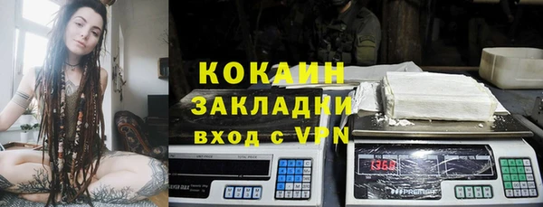ГАЛЛЮЦИНОГЕННЫЕ ГРИБЫ Инта
