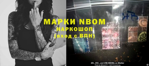 ГАЛЛЮЦИНОГЕННЫЕ ГРИБЫ Инта