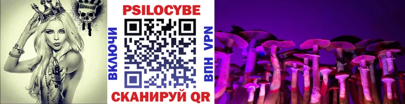 купить наркоту  сайты даркнета телеграм  Псилоцибиновые грибы GOLDEN TEACHER  Ишимбай 