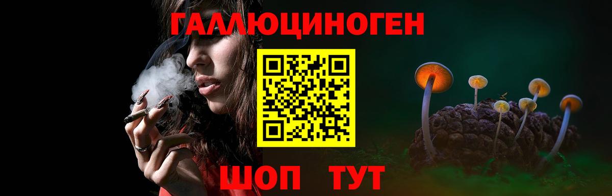 Ишимбай  Галлюциногенные грибы мицелий  Вход с VPN 